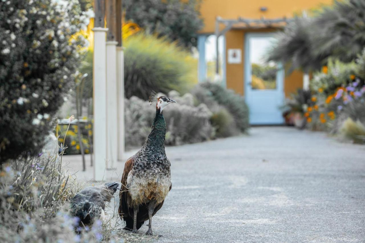 Aquae Sinis Albergo Diffuso Cabras Bagian luar foto